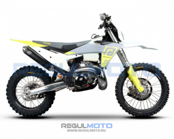 Мотоцикл Regulmoto NIBBI N300-S (NB300) с ПТС