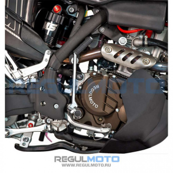 Мотоцикл Regulmoto LEGEND 300 с ПТС 