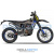 Мотоцикл Regulmoto LEGEND 300 с ПТС Мотоцикл Regulmoto LEGEND 300 с ПТС
